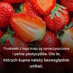 Truskawek z tego kraju należy bezwzględnie unikać…Zobacz więcej