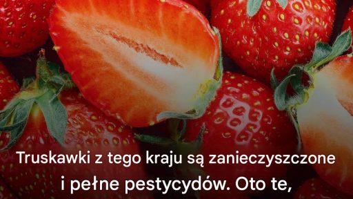 Truskawek z tego kraju należy bezwzględnie unikać…Zobacz więcej