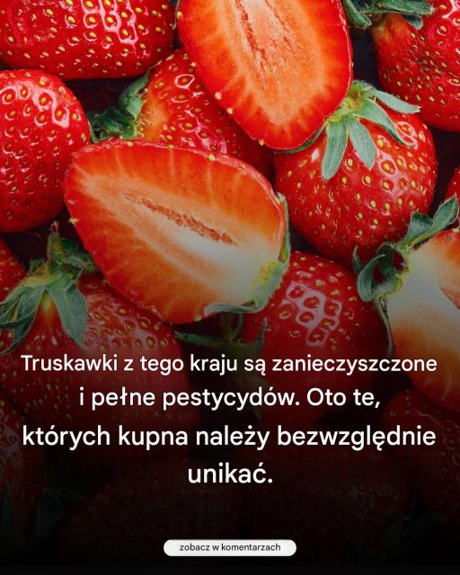 Truskawek z tego kraju należy bezwzględnie unikać…Zobacz więcej