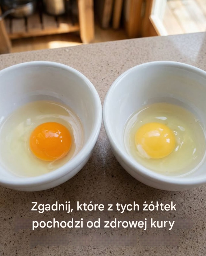 Niedobór: ale dlaczego jemy tak dużo jajek