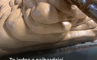 To jedzenie, które spożywasz co tydzień, jest prawdziwą trucizną dla twojego organizmu…