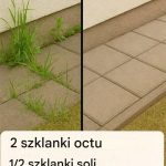 Jak zrobić superskuteczny domowy herbicyd