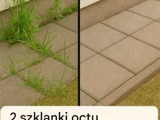Jak zrobić superskuteczny domowy herbicyd