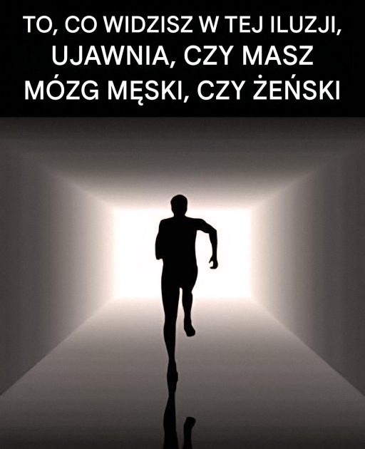Złudzenie optyczne: Czy masz bardziej męski, czy kobiecy sposób myślenia? Ten obraz ci to ujawni.
