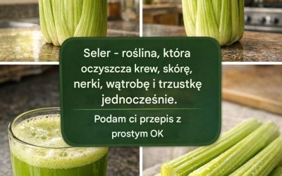 Odkryj roślinę, która już po jednej dawce oczyszcza krew, regeneruje skórę oraz głęboko oczyszcza nerki, wątrobę i trzustkę.