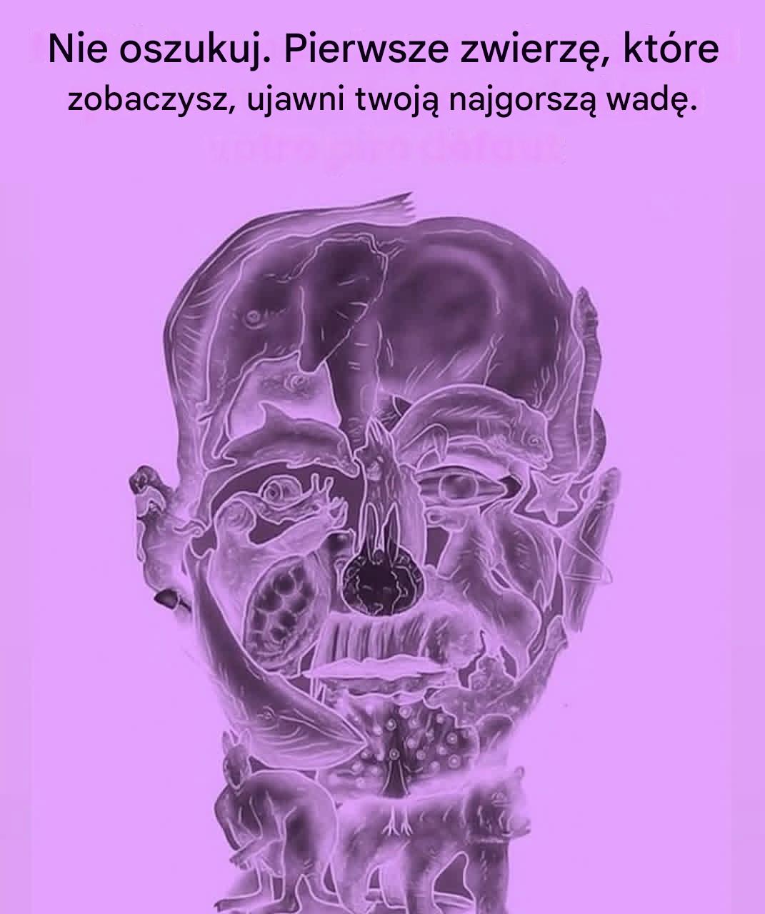 Pierwsze zwierzę, które zobaczysz, ujawni twoją najgorszą wadę