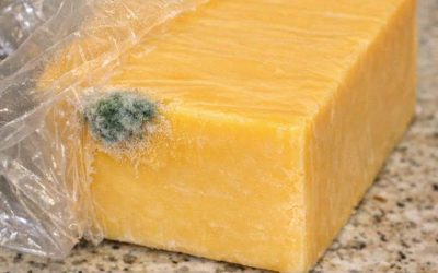 Właśnie wróciłem do domu po załatwianiu sprawunków i otworzyłem kostkę sera cheddar, z której można zrobić obiad, ale jest dość droga. W jednym rogu jest mały kawałek zielonej pleśni, ale reszta kostki wygląda lśniąco czysto. Czy powinienem po prostu…