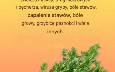 Naturalny środek na pasożyty i infekcje dróg moczowych