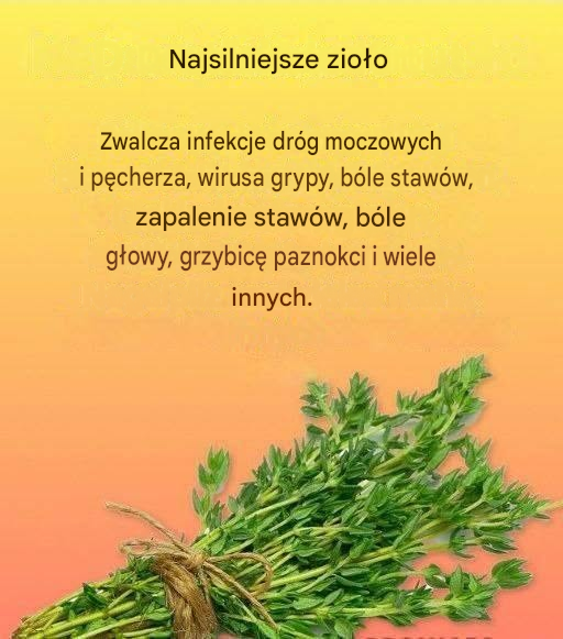 Naturalny środek na pasożyty i infekcje dróg moczowych