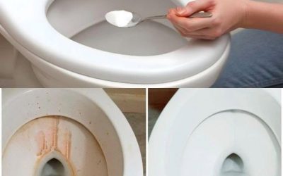 „7 łyżek soli w toalecie?” 🧂🚽Brzmi dziwnie, ale ta prosta sztuczka oszczędza czas, eliminuje nieprzyjemne zapachy i utrzymuje wszystko w świeżości. Jesteś ciekaw, jak to działa?