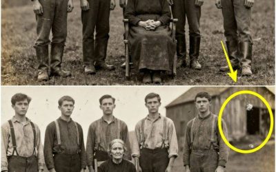 Matka, która zmuszała swoich 5 synów do rozrodu — jeśli nie przykuli jej łańcuchami w stodole „hodowlanej” Artykuł w komentarzu👇📃