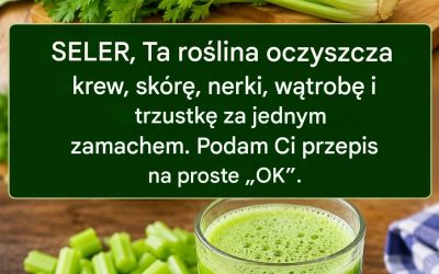 Ta roślina oczyszcza krew, skórę, nerki, wątrobę i trzustkę za jednym zamachem. Ale zrób to w ten sposób… Aby nadal otrzymywać moje przepisy, wystarczy coś napisać… Dziękuję!…