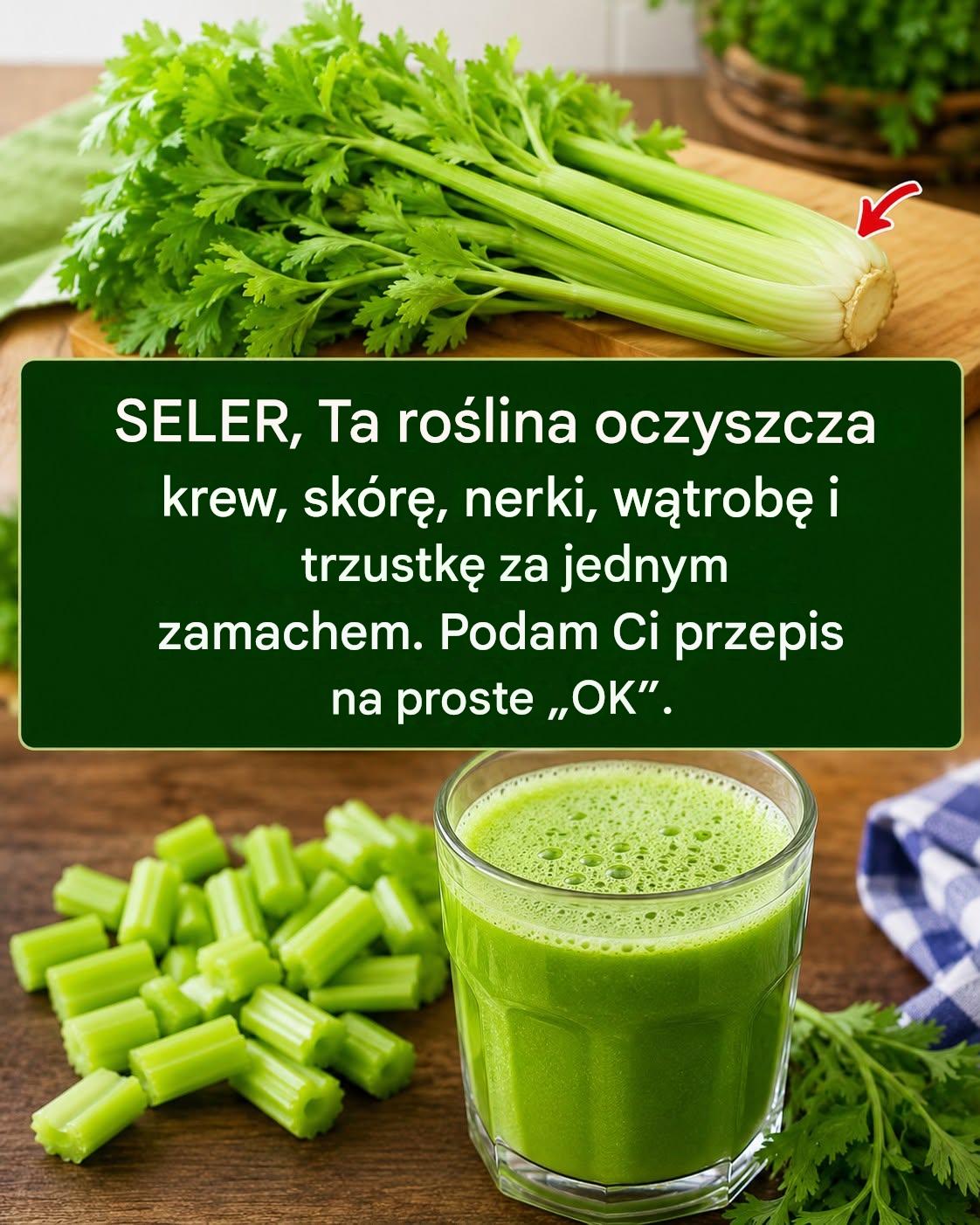 Ta roślina oczyszcza krew, skórę, nerki, wątrobę i trzustkę za jednym zamachem. Ale zrób to w ten sposób… Aby nadal otrzymywać moje przepisy, wystarczy coś napisać… Dziękuję!…
