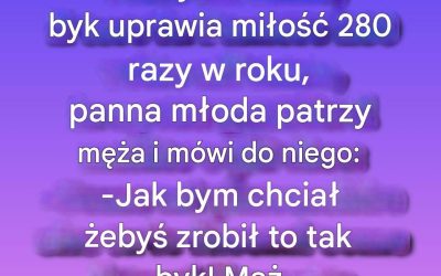 „Koń robi to 52 razy w roku, byk 280, a mój mąż…”