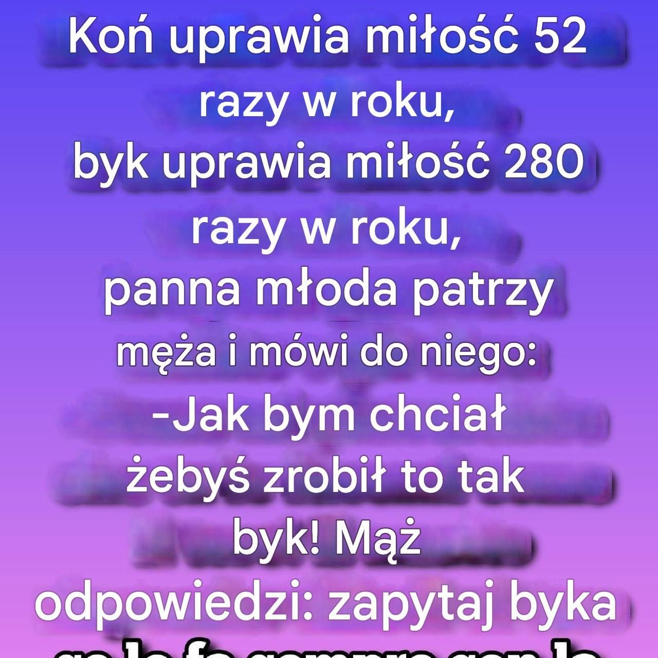 „Koń robi to 52 razy w roku, byk 280, a mój mąż…”