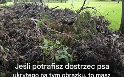 Ludzie naprawdę mają problem ze znalezieniem tego