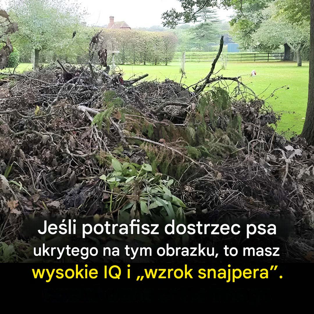 Ludzie naprawdę mają problem ze znalezieniem tego