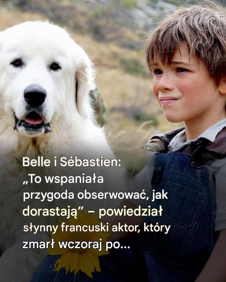 Znany aktor zmarł po…Zobacz więcej
