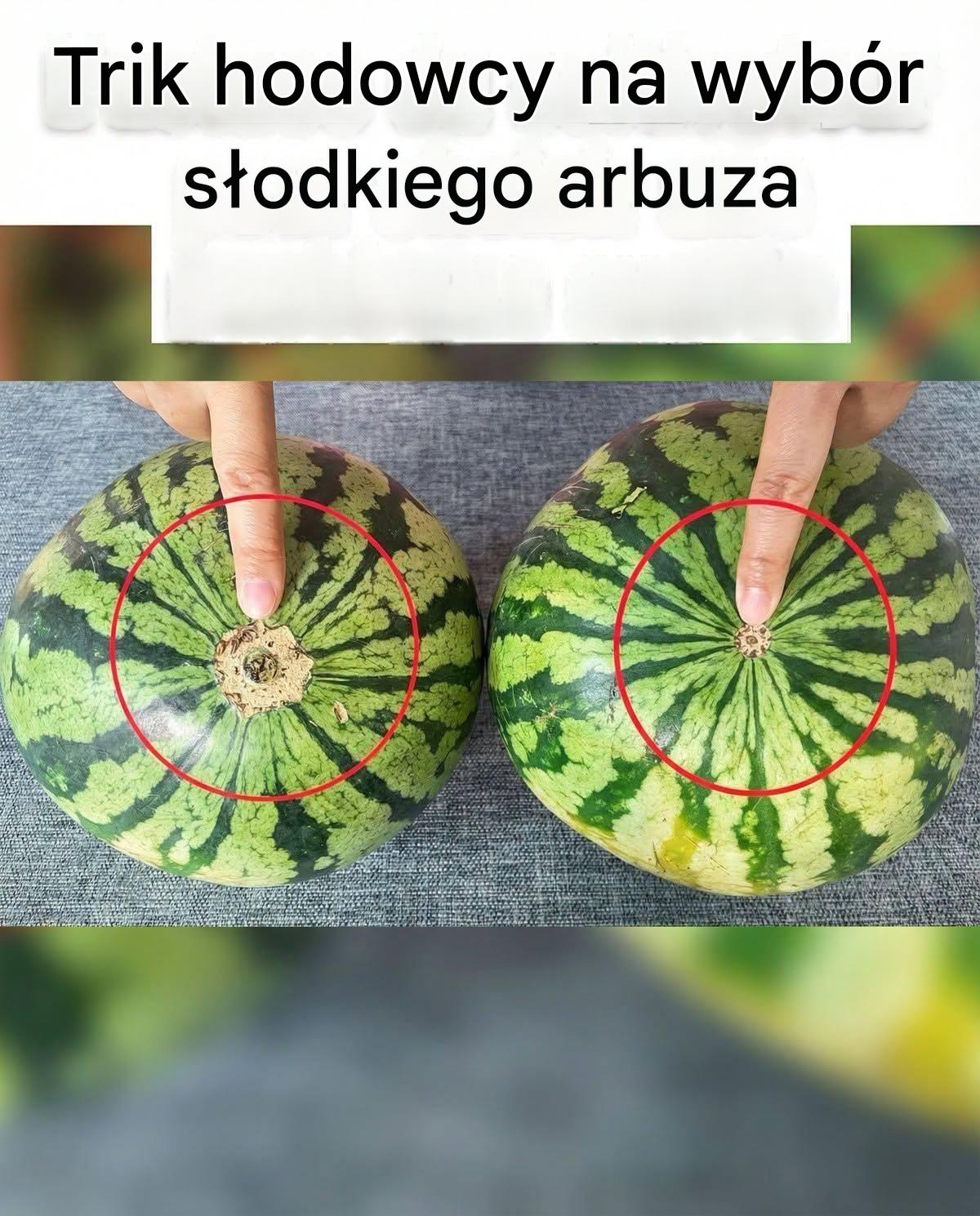 Czy arbuzy są słodkie? Wystarczy spojrzeć tutaj i będziesz wiedzieć. Gwarantujemy, że za każdym razem znajdziesz ten właściwy – stara metoda hodowcy arbuzów naprawdę działa.