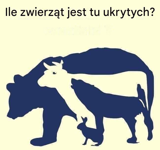 Wyzwanie wizualne: Ile zwierząt jest tak naprawdę ukrytych na tym obrazku?