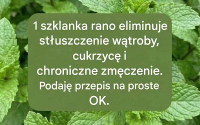 Sok miętowy z cytryną: właściwości, zastosowanie lecznicze i prawidłowe przygotowanie