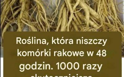 Ten korzeń zabija 98% nowotworów żołądka, jelita grubego, trzustki i innych.