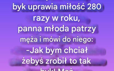 „Koń robi to 52 razy w roku, byk 280, a mój mąż…” (1 / 2)