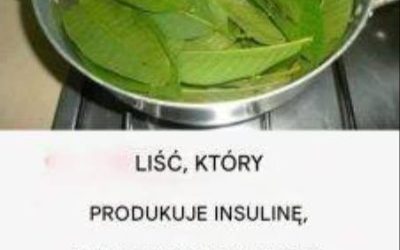 Musisz znać ten liść – kontroluje cukrzycę i oczyszcza nerki, wątrobę i tętnice!