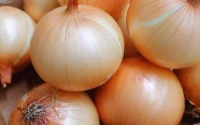 Lekarze ujawniają: jedzenie cebuli jest przyczyną… Czytaj więcej