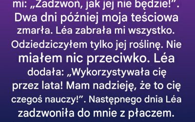 Co ukrywała roślina doniczkowa pozostawiona przez teściową: objawienie, które wywróciło moje życie do góry nogami