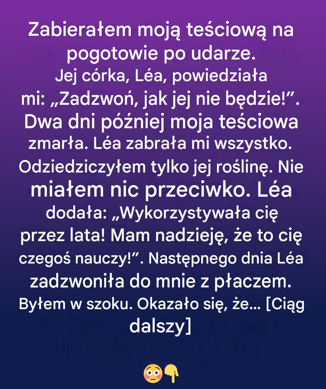 Co ukrywała roślina doniczkowa pozostawiona przez teściową: objawienie, które wywróciło moje życie do góry nogami