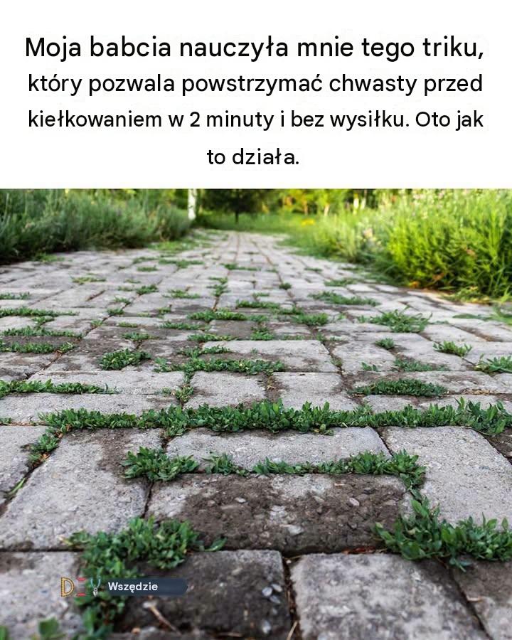 Moja babcia nauczyła mnie tego triku, który pozwala powstrzymać chwasty przed kiełkowaniem w 2 minuty i bez wysiłku. Oto jak to działa.
